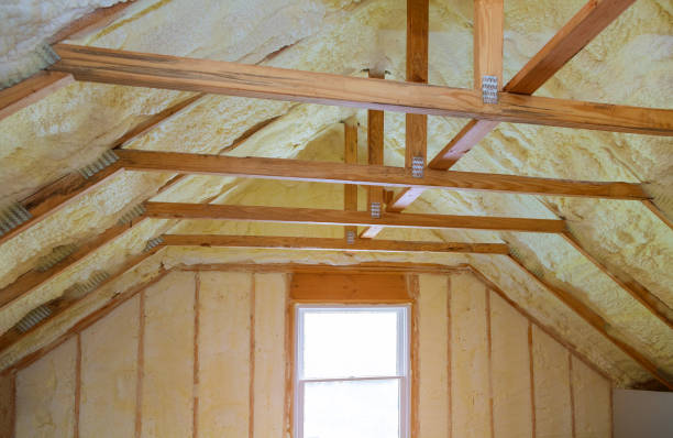 Best Geographic-Specific Insulation Services in Perry, GA