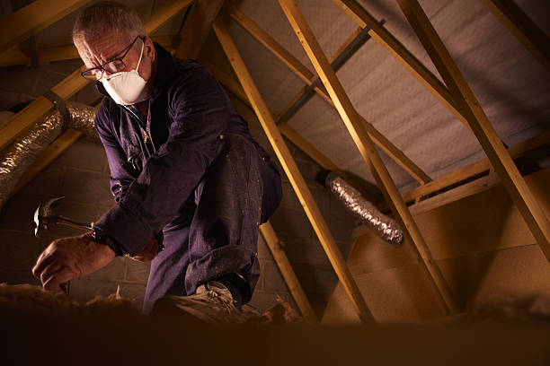 Best Cellulose Insulation in Perry, GA