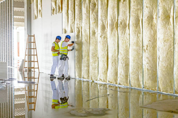 Best DIY Insulation Kits and Guidance in Perry, GA